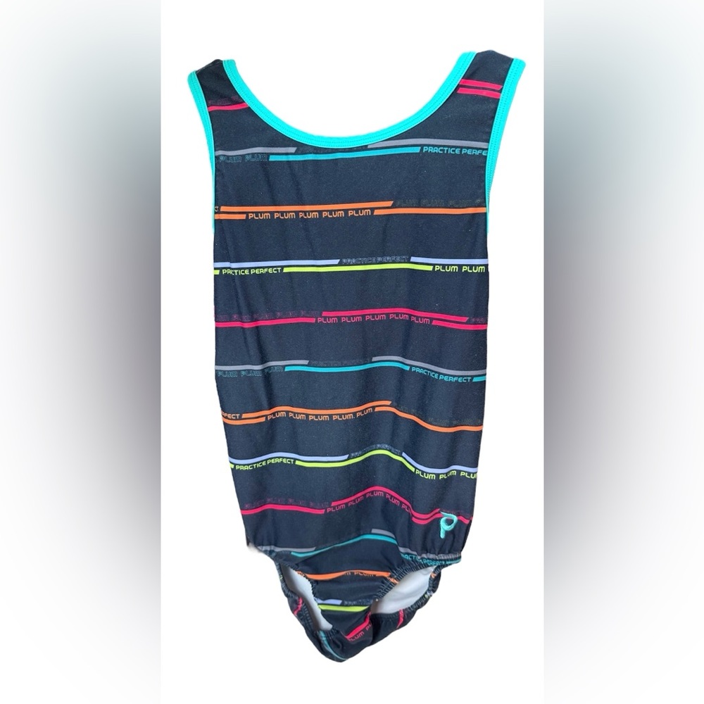 Multicolor Striped Plum Leotard (AL)
